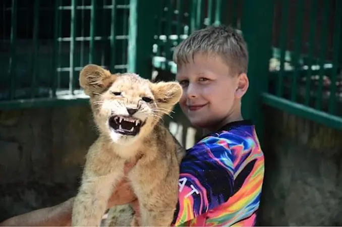 photo with lions in lara